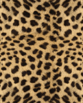 leopard-animal-print-brown.gif