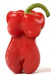 Chili-Pepper-38445.jpg
