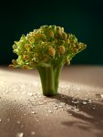 Broccoli-Tree.jpg